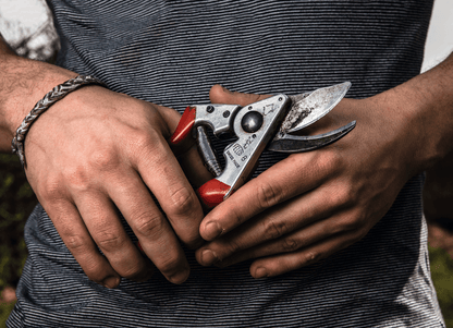 Sécateur Felco 8