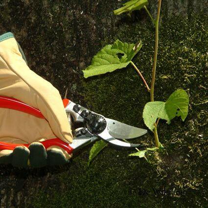 FELCO 9 Sécateur pour gaucher