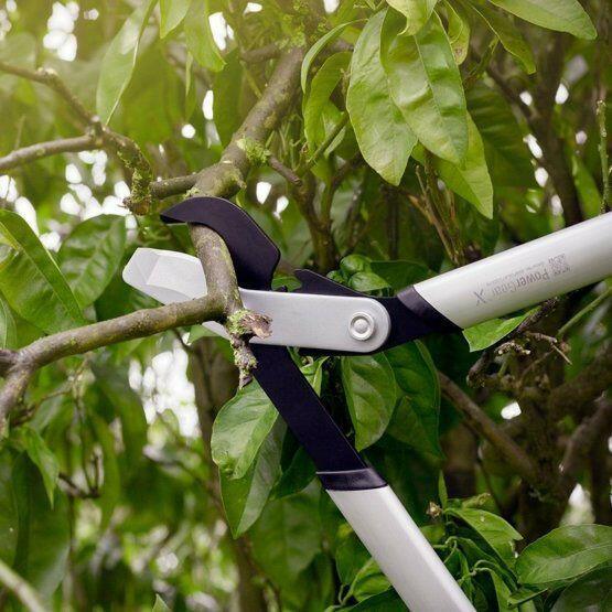Fiskars M LX94 Coupe-branches