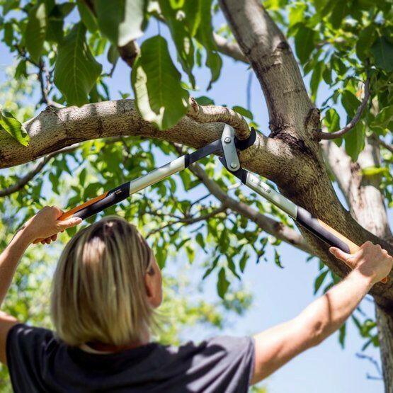Fiskars M LX94 Coupe-branches