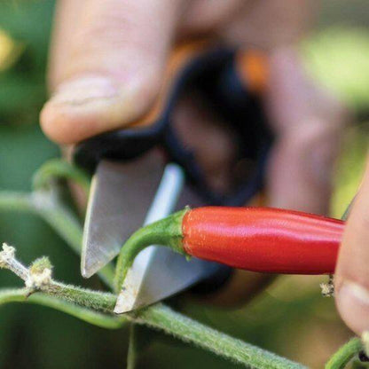 Fiskars Solid Ciseaux à fines herbes SP-220