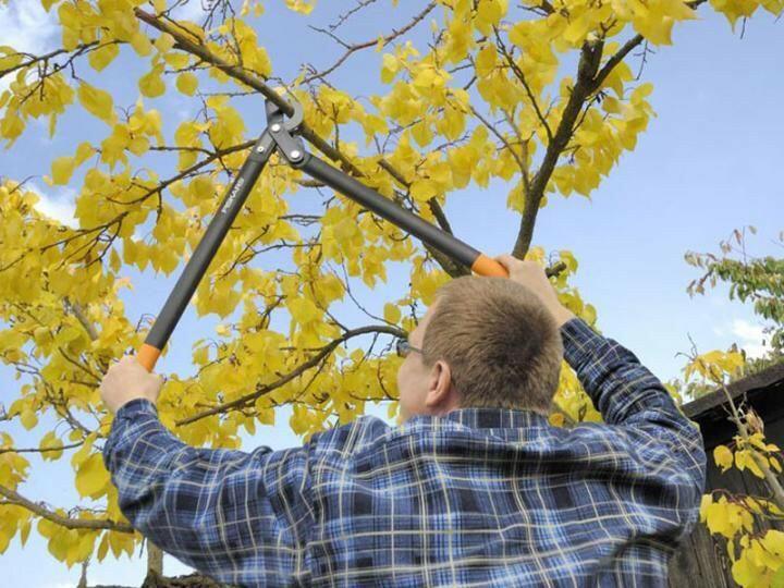 Fiskars Coupe-branches L76