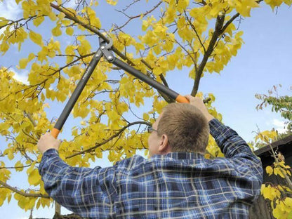 Fiskars Coupe-branches L76