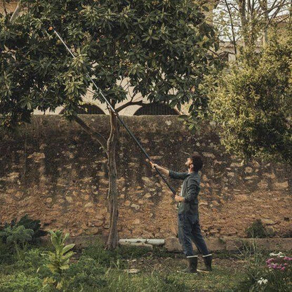 Fiskars UPX86 Échenilloir télescopique avec scie d’élagage