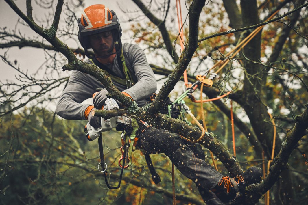 STIHL GTA 40.0 mini tronçonneuse à batterie avec batterie & chargeur - 15 cm