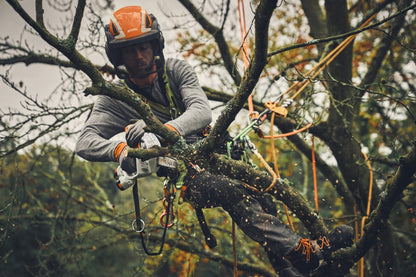 STIHL GTA 40.0 mini tronçonneuse à batterie avec batterie & chargeur - 15 cm