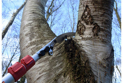 Silky Forester 3000-7.5 Scie sur perche