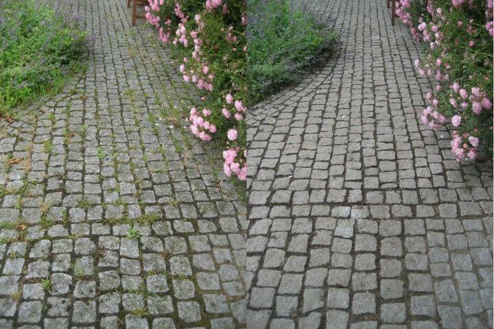 Kwern Greenbuster PRO 66 Brosse désherbeuse thermique