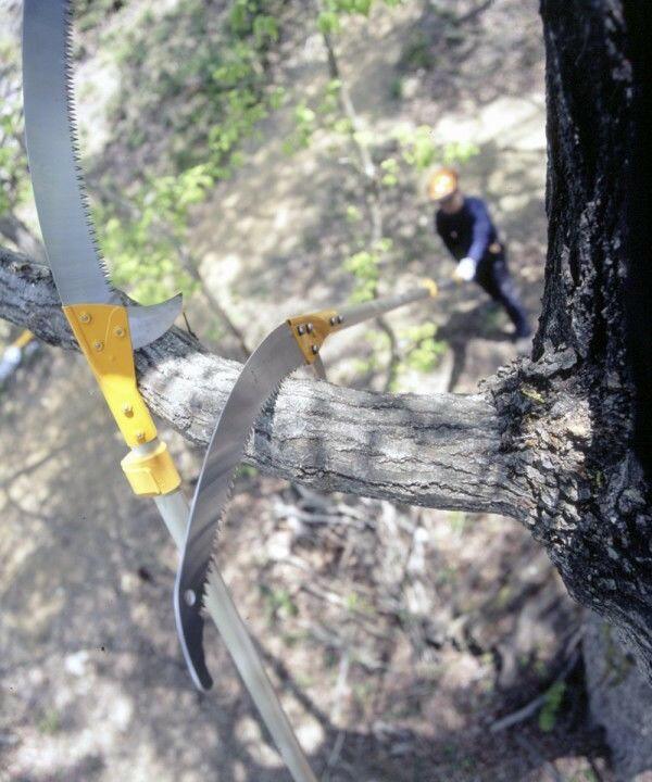 Silky Hayate 5000-6,5 Scie d'élagage télescopique