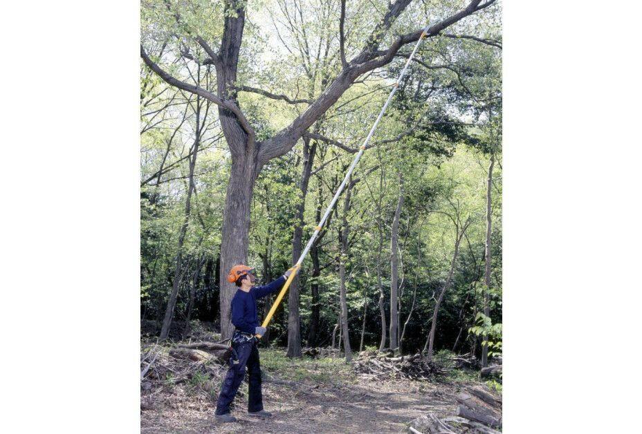 Silky Hayate 5000-6,5 Scie d'élagage télescopique