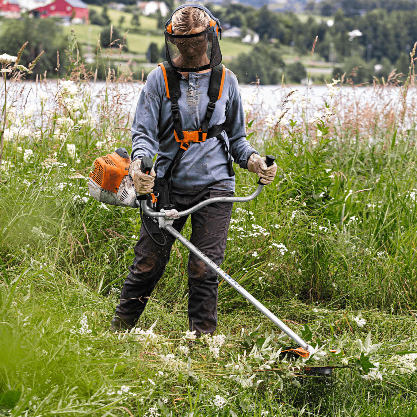 STIHL FS 240 C-E Débroussailleuse thermique - AutoCut 36-2