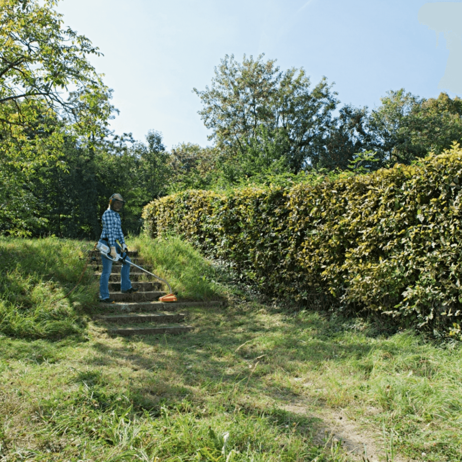 STIHL FSE 81 Coupe-bordures électrique