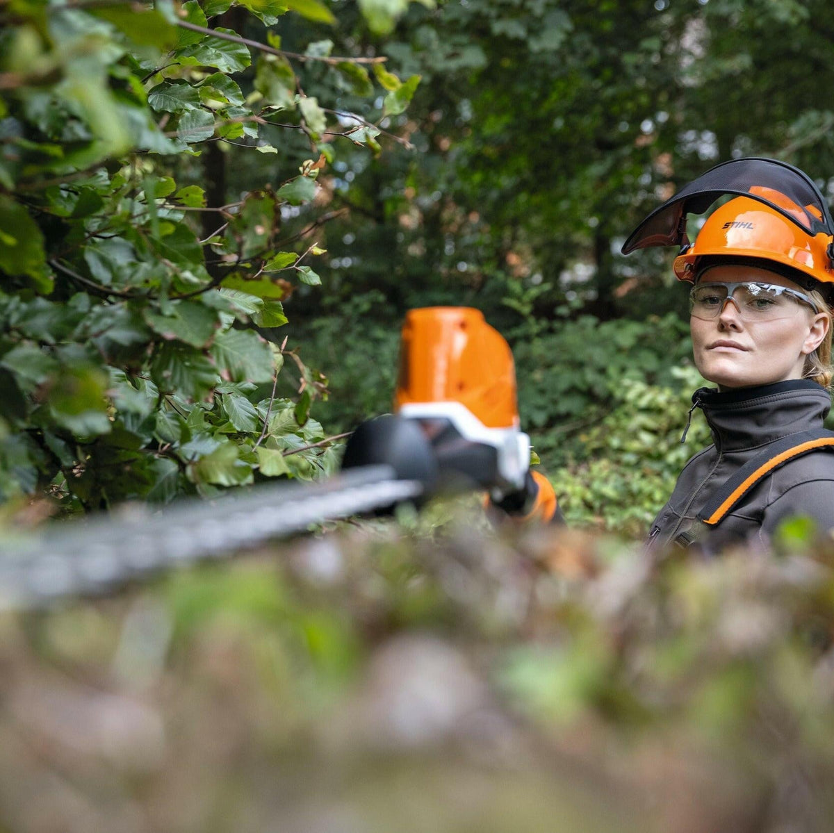 STIHL taille-haies sur perche à batterie HLA 86 pack avec batterie et chargeur (AP 20 + AL 101)