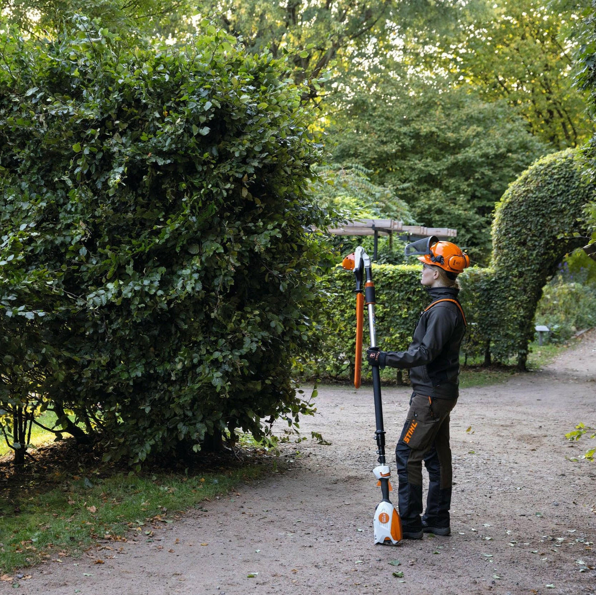 STIHL HLA 86 Taille-haies sur perche à batterie (outil nu) - 50 cm