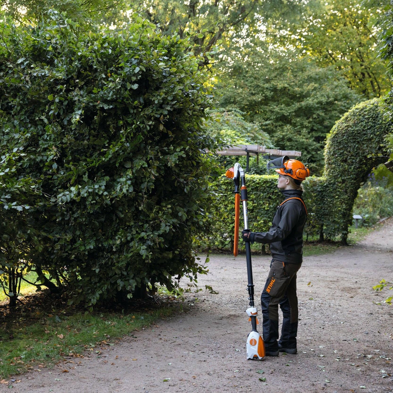 STIHL HLA 86 Taille-haies sur perche à batterie (outil nu) - 50 cm
