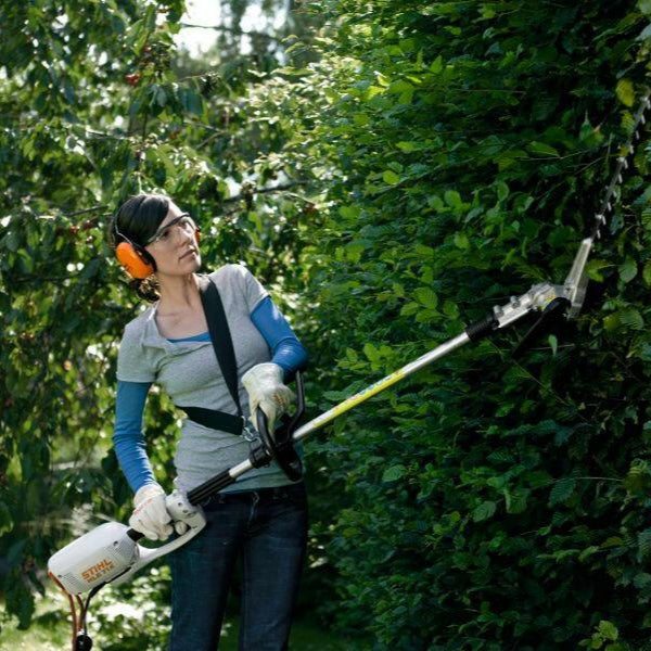 STIHL HLE 71 L Taille-haies sur perche électrique - 50 cm