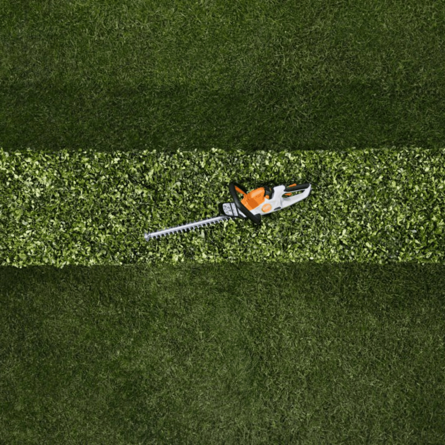 STIHL HSA 30.0 Taille-haies à batterie avec batterie et chargeur