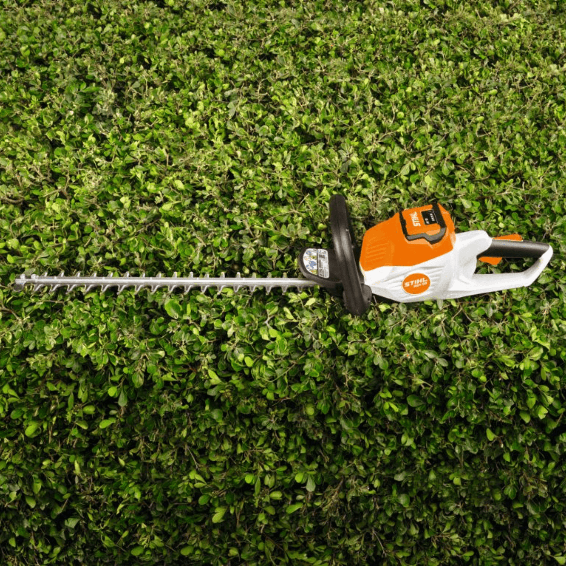 STIHL HSA 50.1 Taille-haies à batterie avec batterie et chargeur
