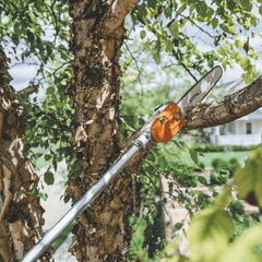 STIHL HT 135 Élagueuse sur perche thermique - 30 cm
