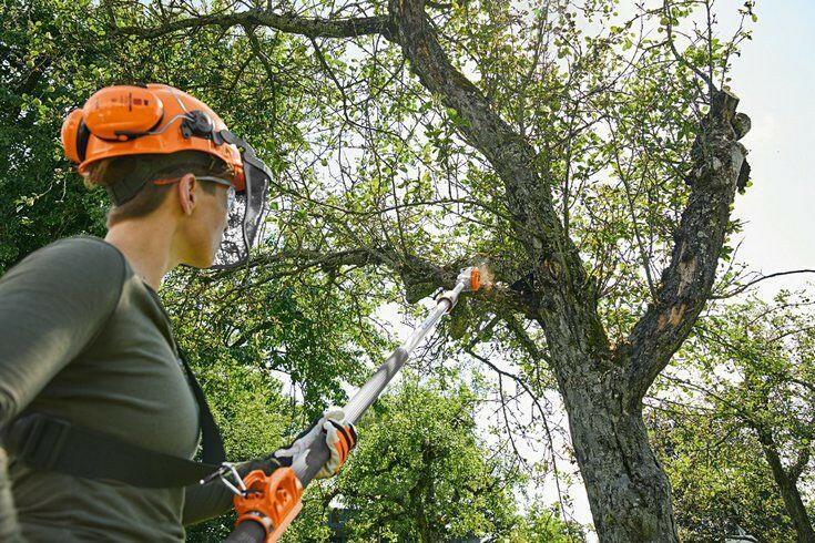 STIHL HTA 135 Perche élagueuse à batterie - Outil nu - 30 cm