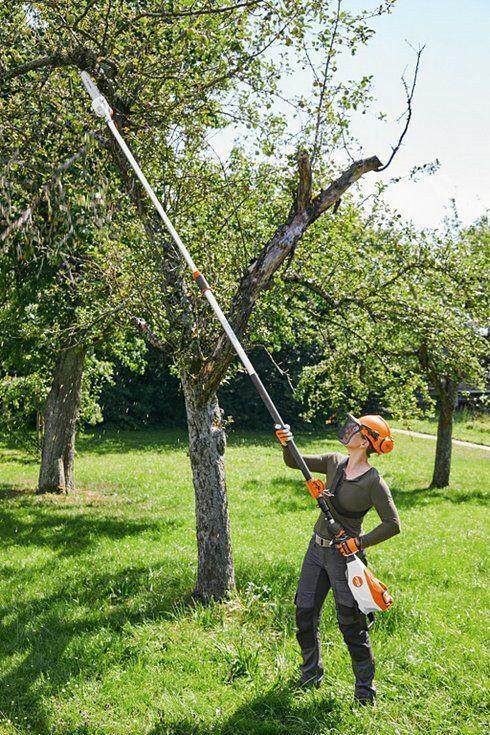 STIHL HTA 135 Perche élagueuse à batterie - Outil nu - 30 cm