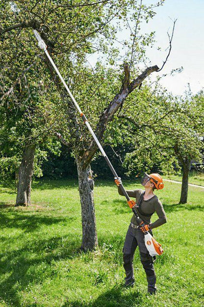 STIHL HTA 135 Perche élagueuse à batterie - Outil nu - 30 cm