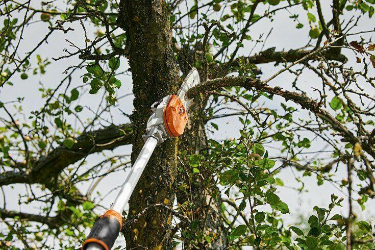STIHL HTA 135 Perche élagueuse à batterie - Outil nu - 30 cm
