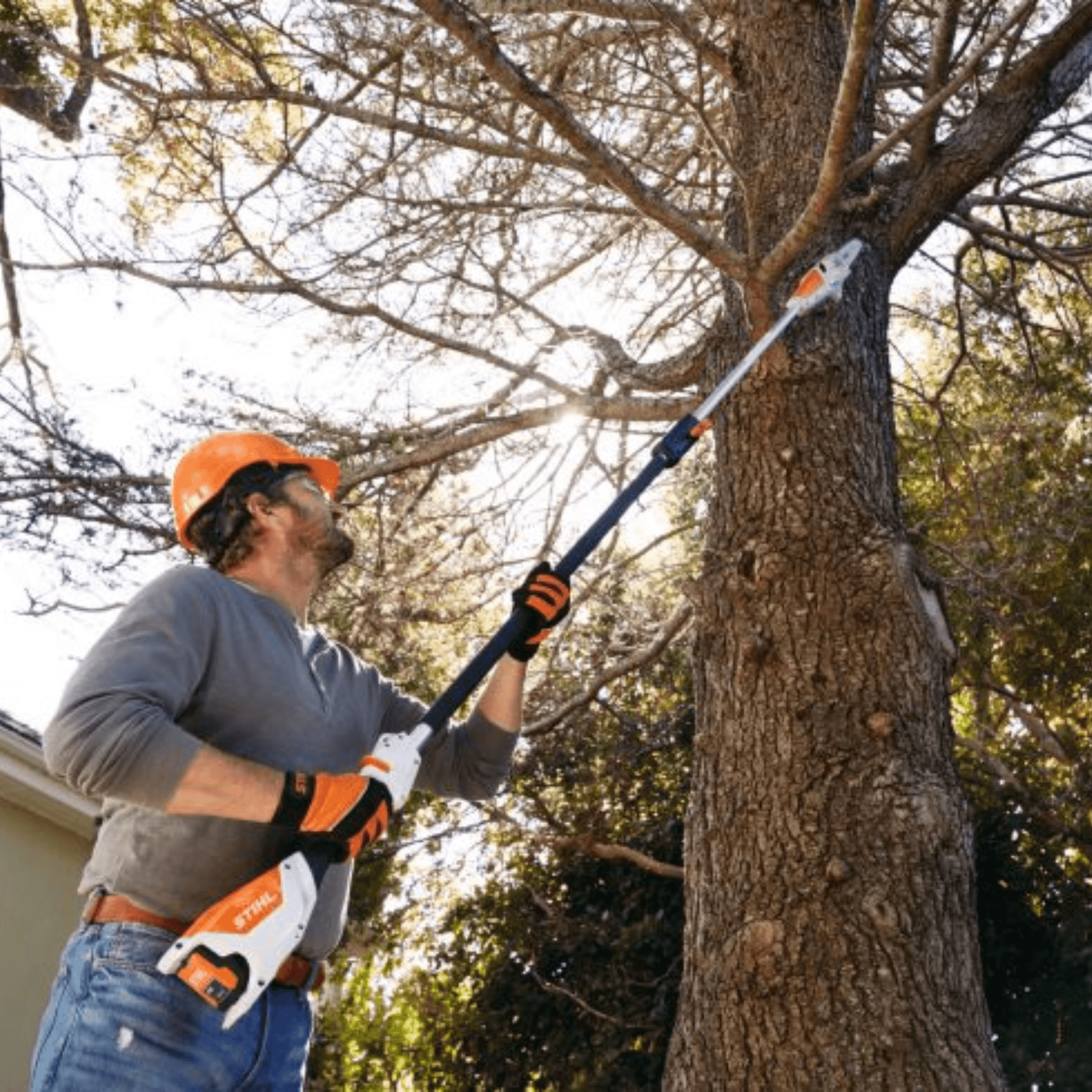 STIHL HTA 50 Perche d’élagage à batterie - 25 cm (corps seul)