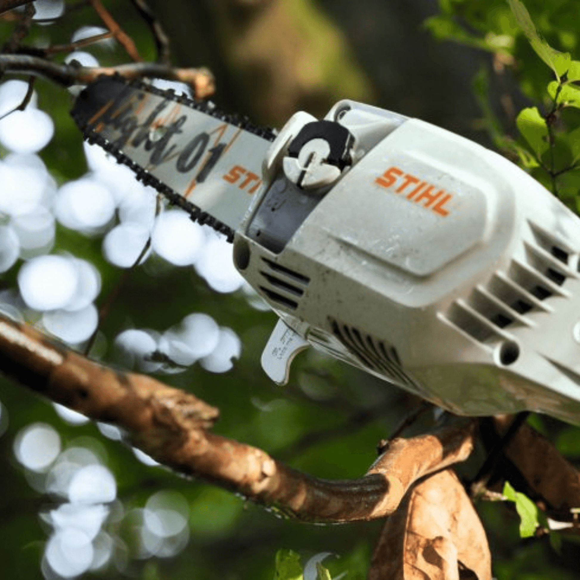 STIHL HTA 86 Perche élagueuse à batterie - Corps - 30 cm