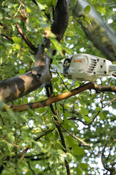 STIHL HTA 86 Perche élagueuse à batterie - Corps - 30 cm