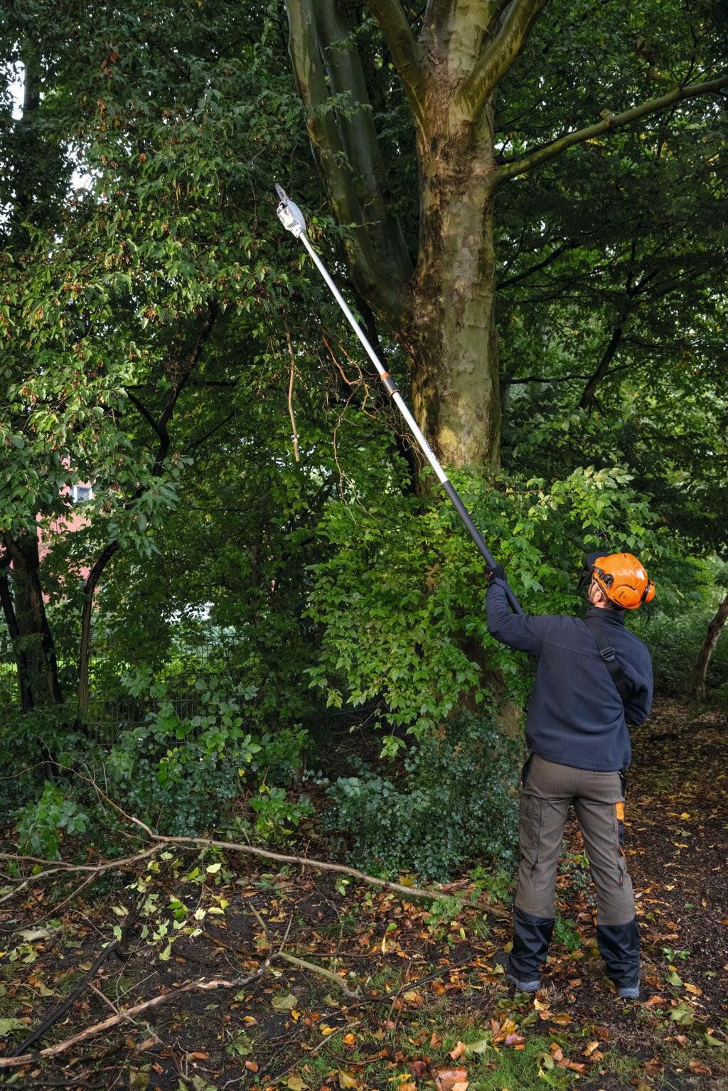 STIHL HTA 86 Perche élagueuse à batterie - Corps - 30 cm