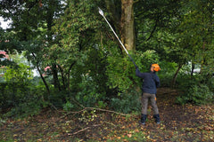 STIHL HTA 86 Perche élagueuse à batterie - Corps - 30 cm