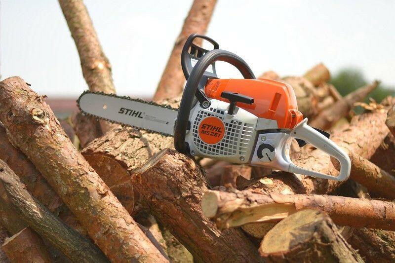STIHL MS 251 Tronçonneuse thermique - 40 cm