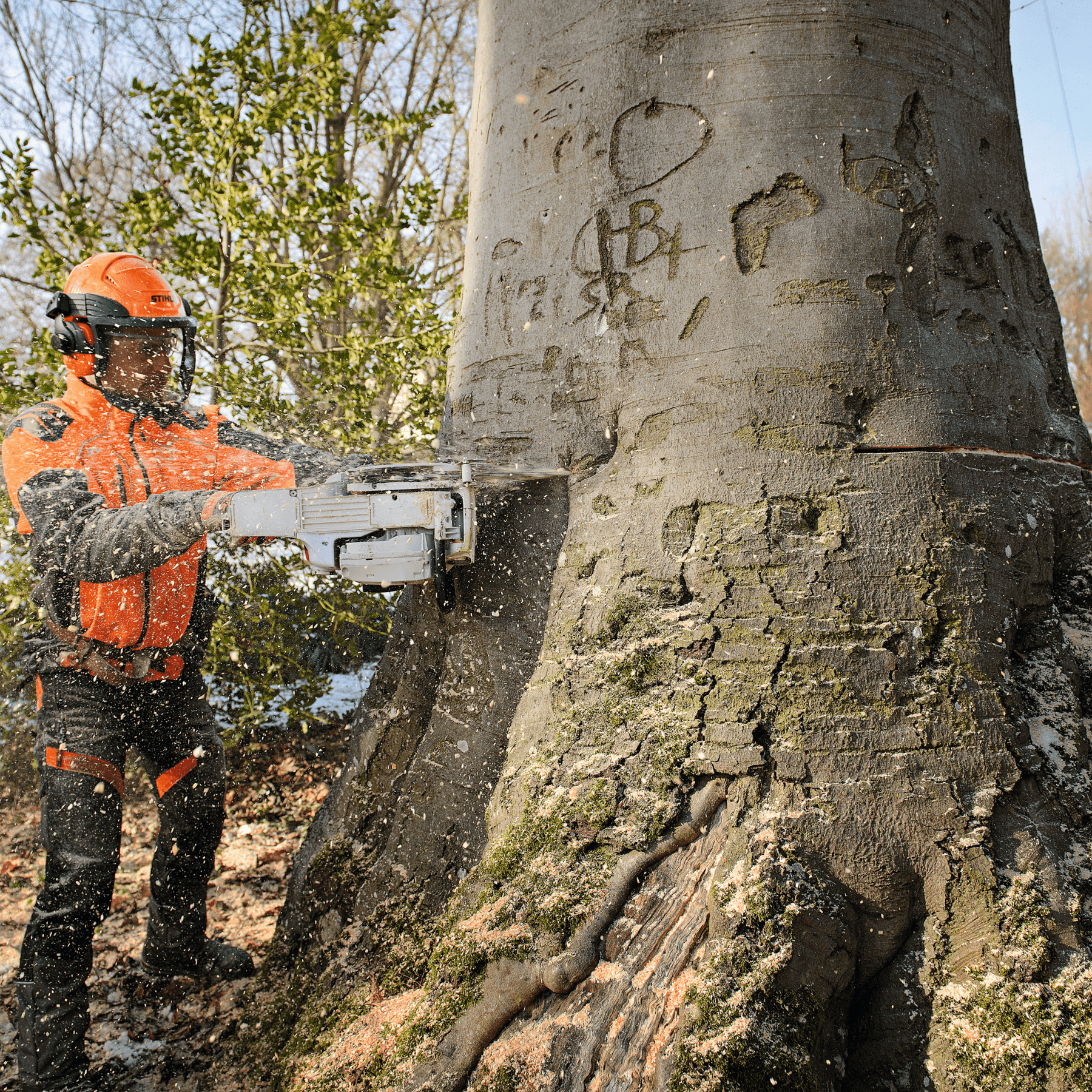 STIHL MS 661 C-M W Tronçonneuse thermique - 63 cm