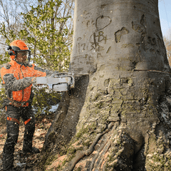 STIHL MS 661 C-M W Tronçonneuse thermique - 63 cm