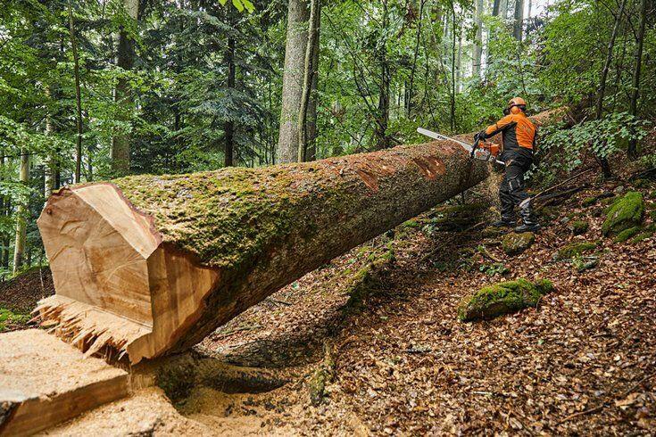 STIHL MS 881 Tronçonneuse thermique - 75 cm / Prête à l’emploi