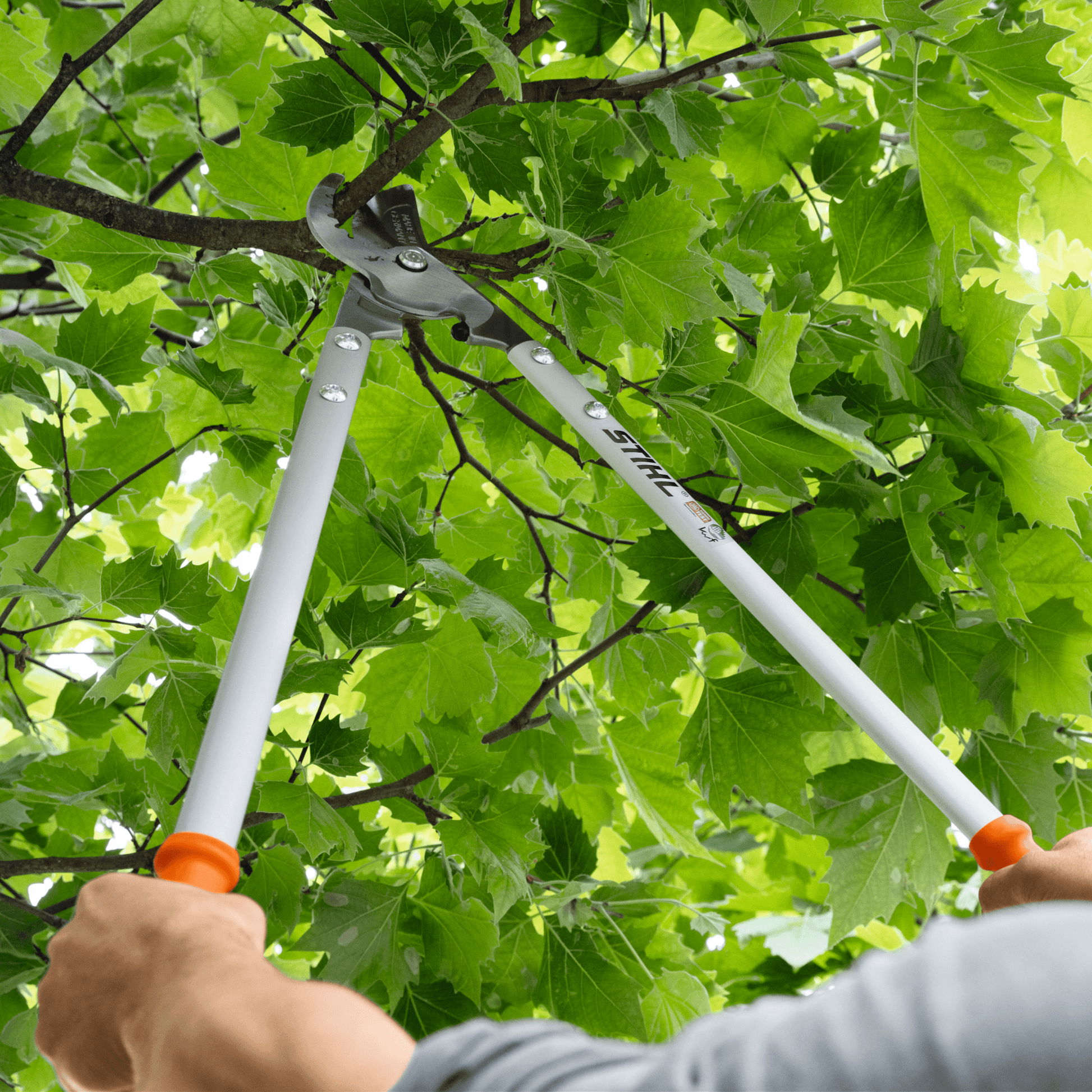 Ébrancheur STIHL PB 30