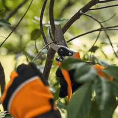 Sécateur STIHL PG 10