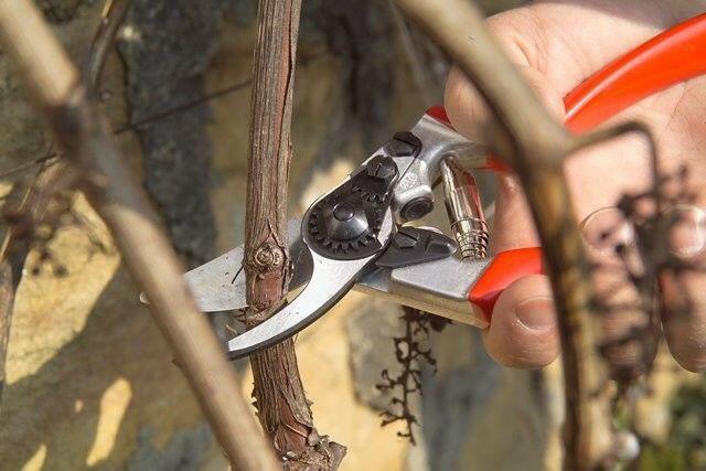 STIHL Sécateur Bypass FELCO F9 - Gaucher