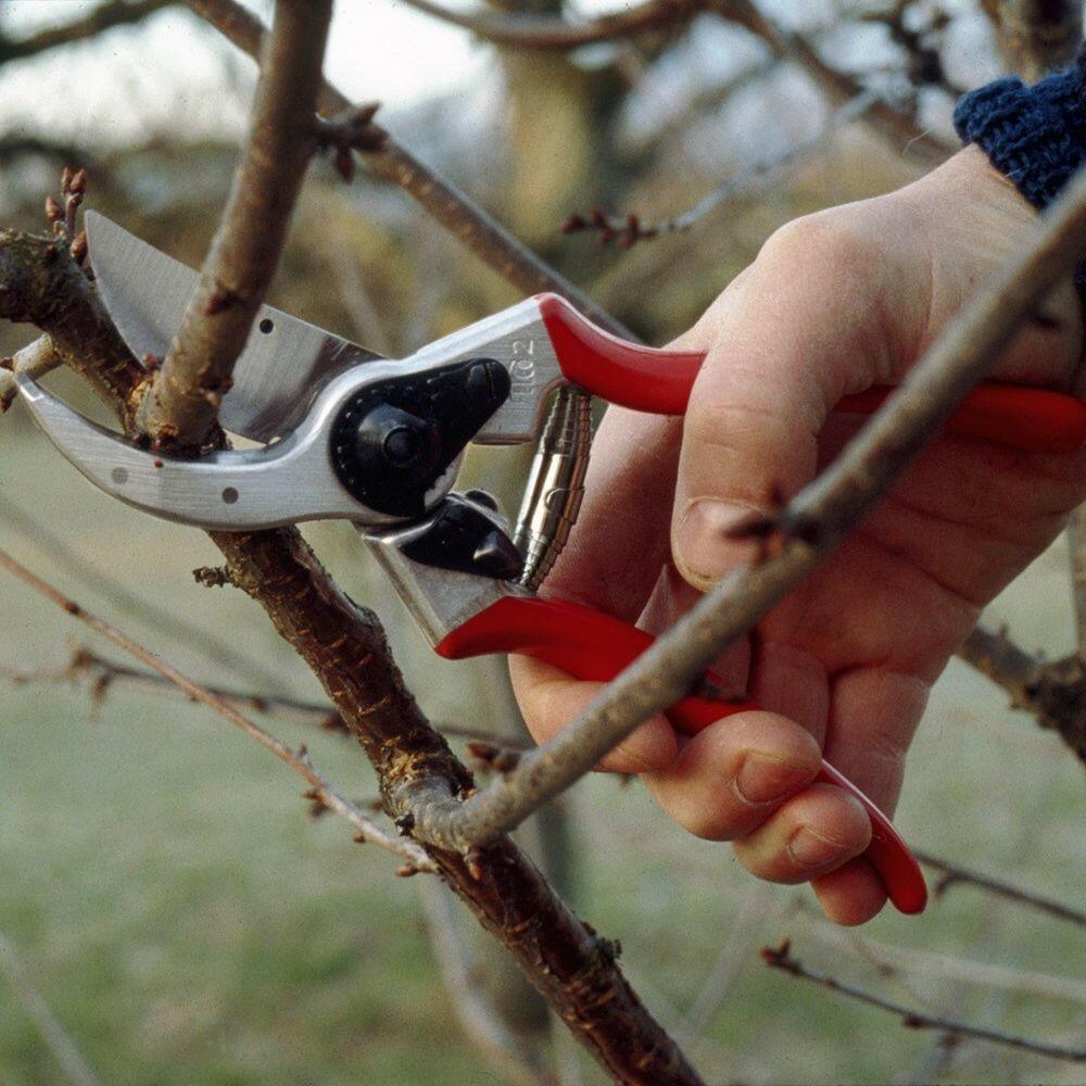 STIHL Sécateur F 2