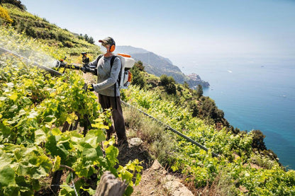 STIHL SR 200 Atomiseur thermique dorsal