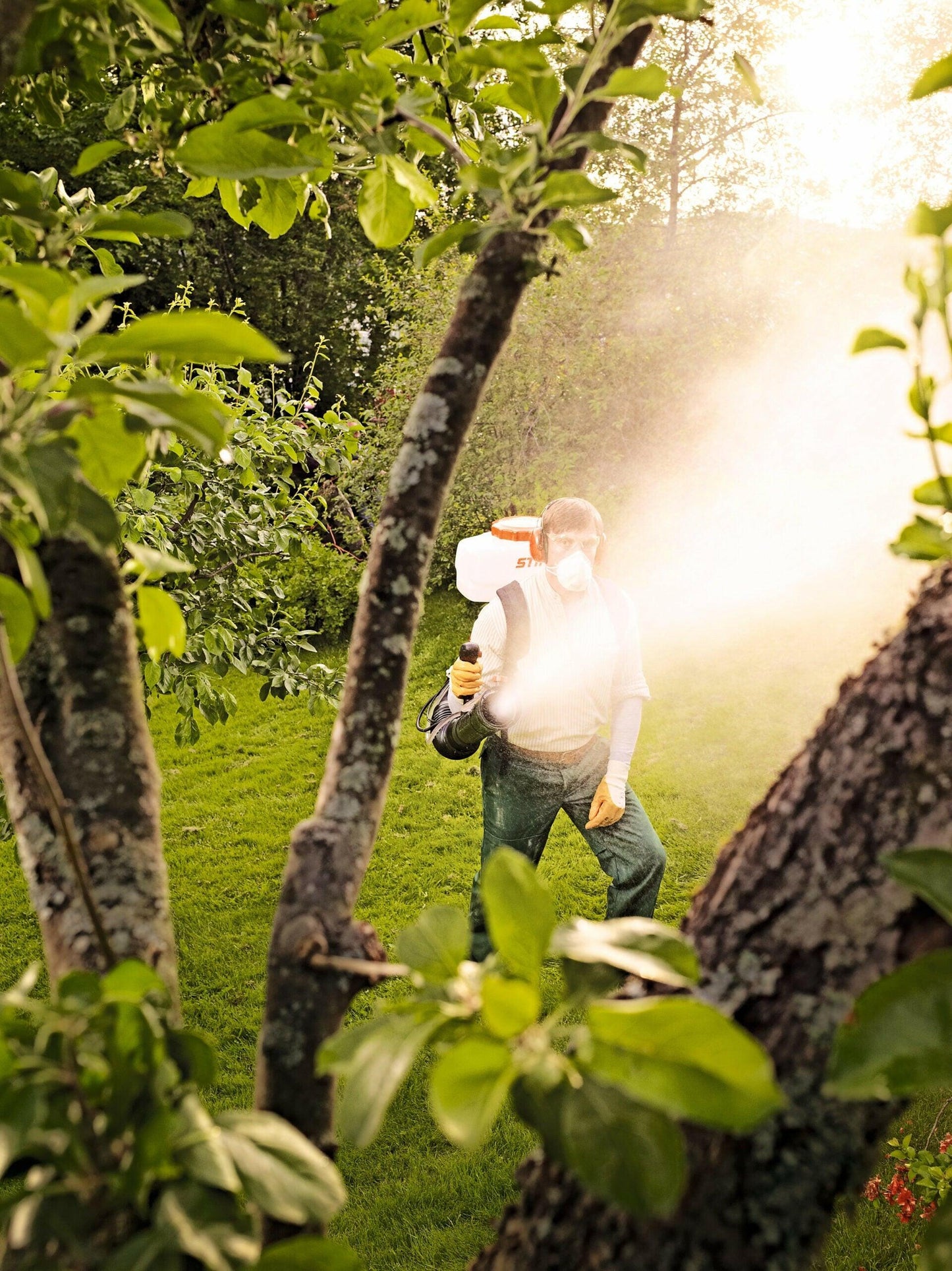 STIHL SR 450 Atomiseur dorsal thermique