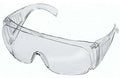 STIHL Lunettes de protection - FUNCTION Standard Clair