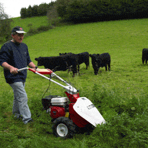 Tielbürger T 60 Faucheuse à sections thermique