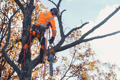 Husqvarna 550i XP® G Tronçonneuse à batterie - 38,1 cm